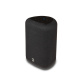 Bluesound PULSE FLEX