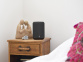 Bluesound PULSE FLEX
