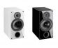 Indiana Line Tesi 262 - Black High Gloss
