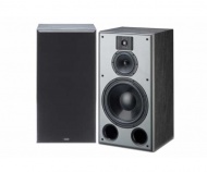 Indiana Line DJ 310 Black Ash Vinyl