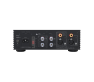 EverSolo AMP-F2