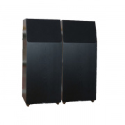 Neat Acoustics IOTA Xplorer Black Oak