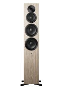 Dynaudio Focus 50 dýha světlé dřevo