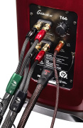 Sloupové reprosoustavy s aktivním subwooferem GoldenEar T66 - Piano Red