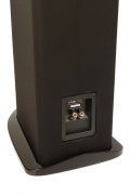 GoldenEar Triton Five