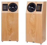 Neat Acoustics IOTA Xplorer Natural Oak