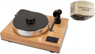 Pro-Ject X-Tension 10 Oliva + Gold Note Donatello Gold