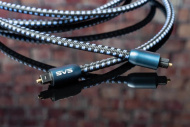SVS Optical Interconnect