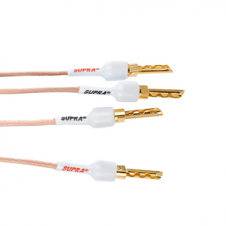 SUPRA XL ANNORUM BI-AMP COMBICON Anniversary 2x2,0m