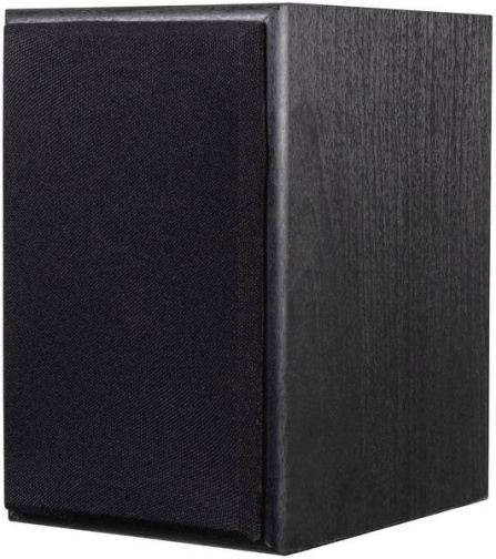 Dual LS 100 Active monitor
