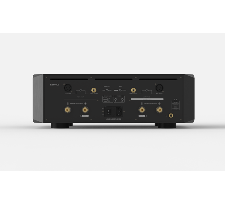 EverSolo AMP-F10