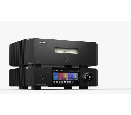 EverSolo AMP-F10