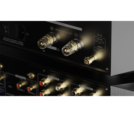 EverSolo AMP-F10