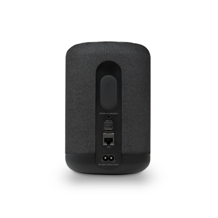 Bluesound PULSE FLEX černá