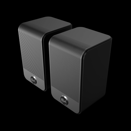 Klipsch Flexus Surr 100