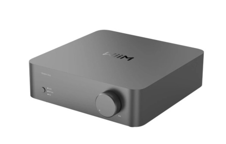 Wiim Vibelink Amp - Grey