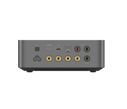Wiim Amp Ultra - Zesilovač se streamerem - Gray