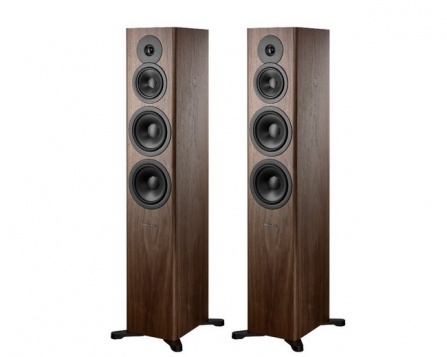 Dynaudio Evoke 50 Walnut Wood