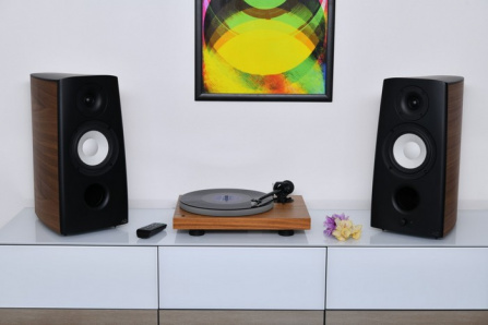 Aktivní reproduktory AQ Canto 3 FORTE Walnut - ořech